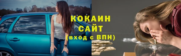 прущие грибы Нефтегорск