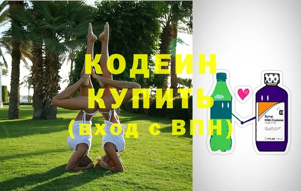 ГАЛЛЮЦИНОГЕННЫЕ ГРИБЫ Аркадак
